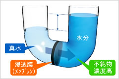�t�Z���V�X�e���̌���
